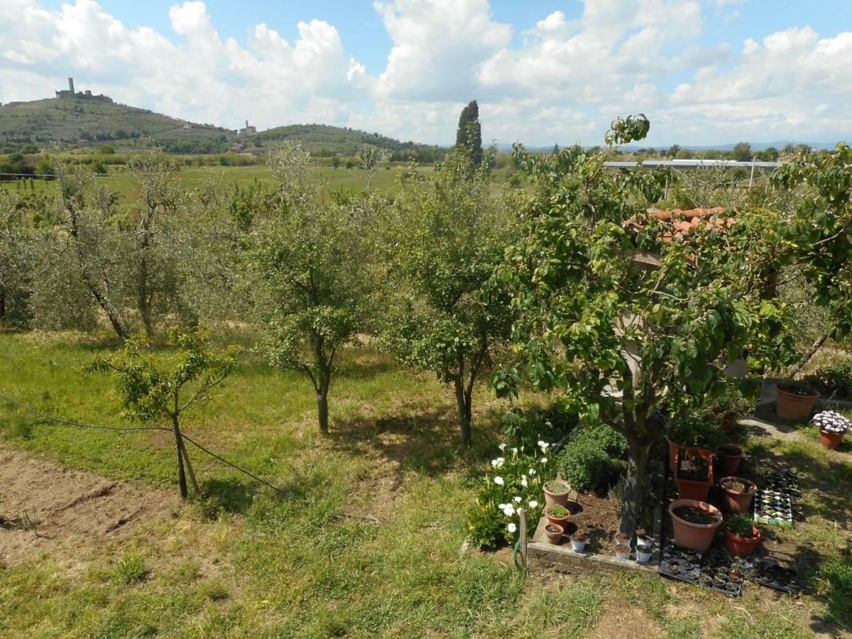 Poggio Fiorito Lejlighed Castiglion Fiorentino Eksteriør billede