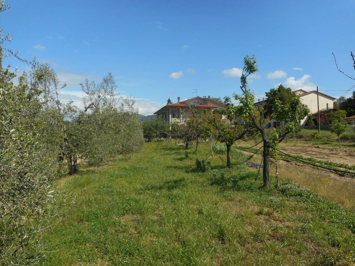 Poggio Fiorito Lejlighed Castiglion Fiorentino Eksteriør billede